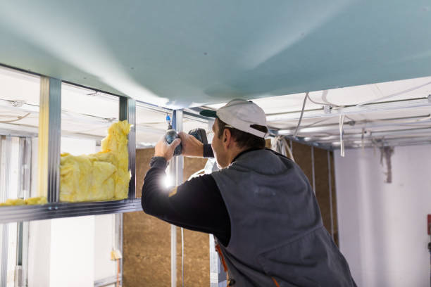Best Cellulose Insulation in Del Monte Forest, CA